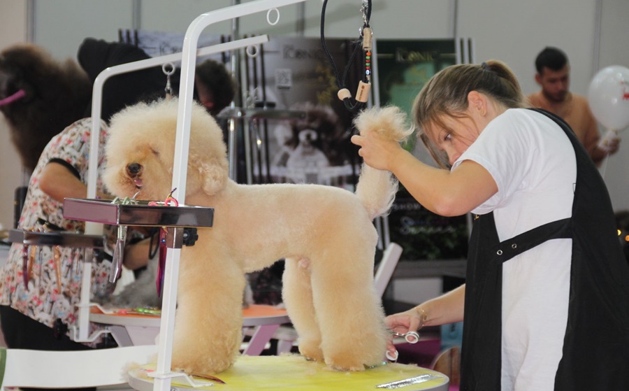 PET İZMİR 2026 FUARI - EVCİL HAYVAN SEKTÖRÜNÜN BULUŞMA NOKTASI